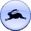 Rabbit chinese horoscope sign